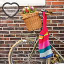Scheepjes Softfun 50g