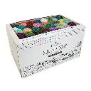 Scheepjes Scrumptious colour pack 80x30g