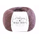 Scheepjes Alpaca Rhythm 25g