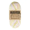 Scheepjes Catona Chroma 50g