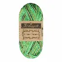 Scheepjes Catona Chroma 50g