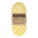 Scheepjes Catona Chroma 50g