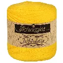 Scheepjes Whirlette 100g