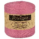 Scheepjes Whirlette 100g