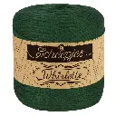 Scheepjes Whirlette 100g
