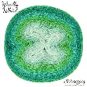 Scheepjes Woolly Whirl 1000m