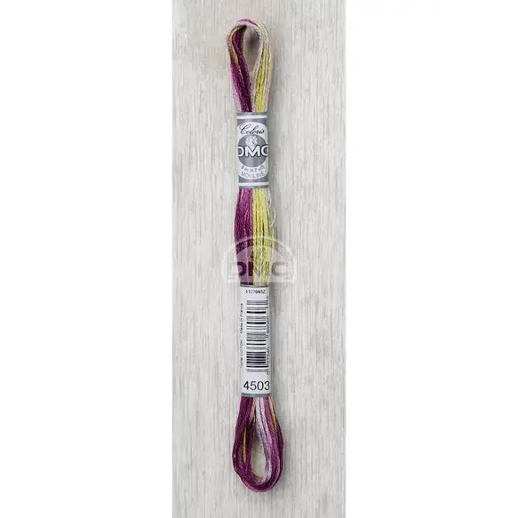 DMC Mouliné Coloris 8m